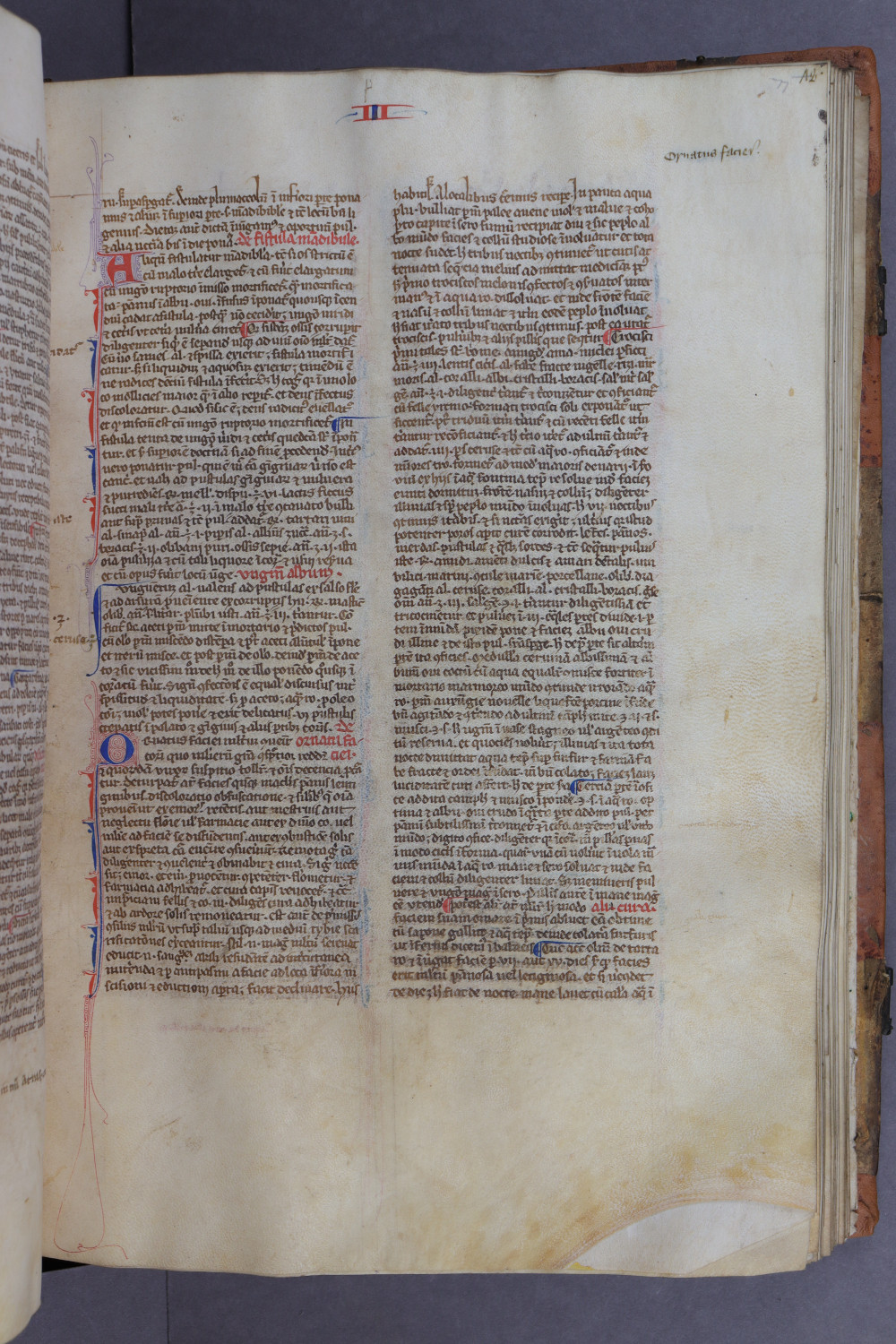 Folio 77 recto